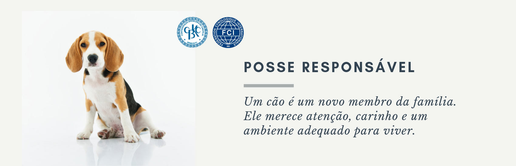 Posse responsável do seu pet