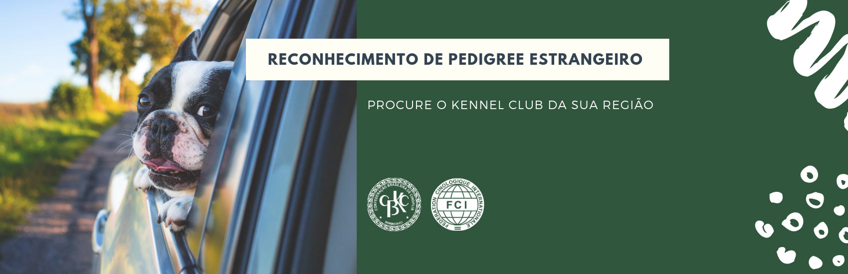 Reconhecimento do Pedigree Internacional