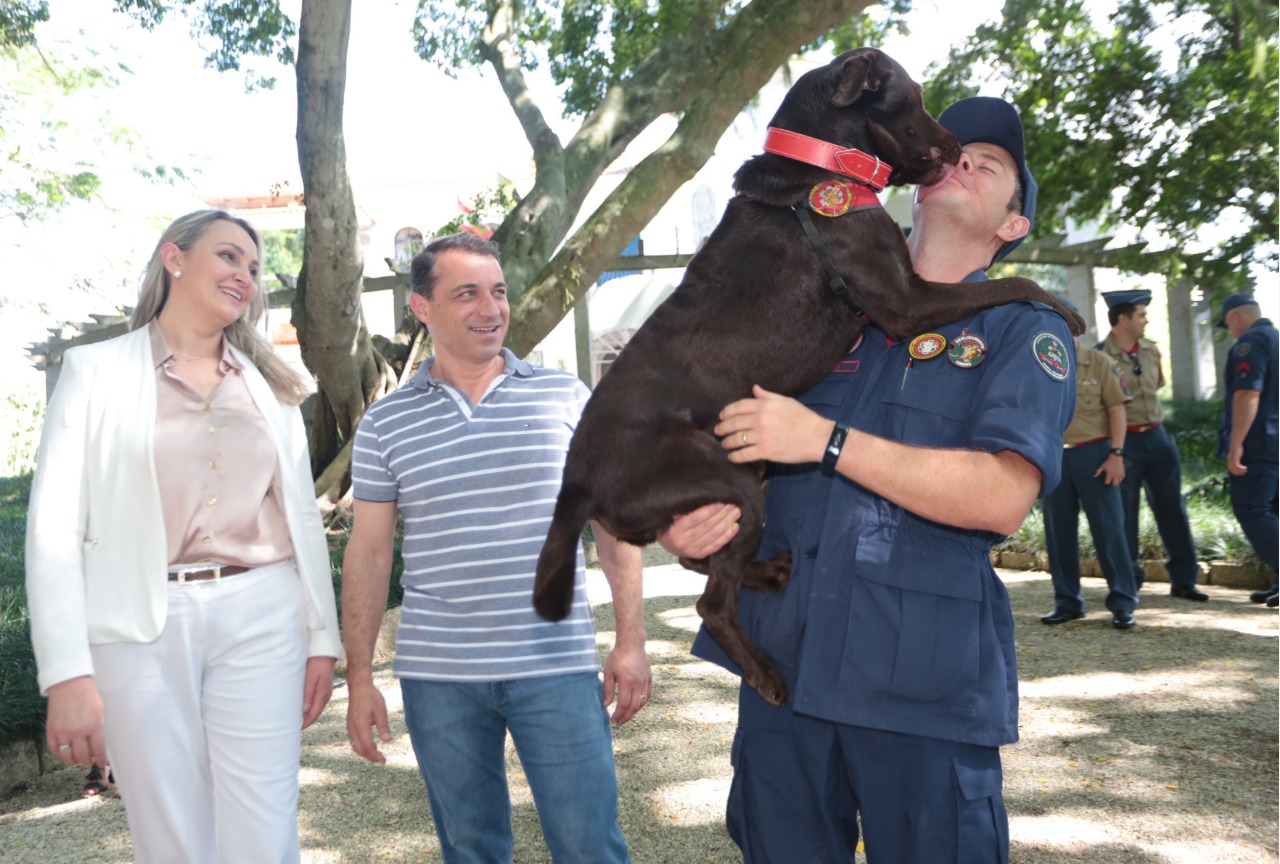 Artigo Em Santa Catarina, cães auxiliam corpo de Bombeiros em missões - 2019-04-02