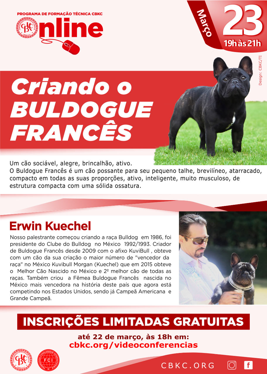 Imagem Videoconferências CBKC: Criando o Bulldogue Francês