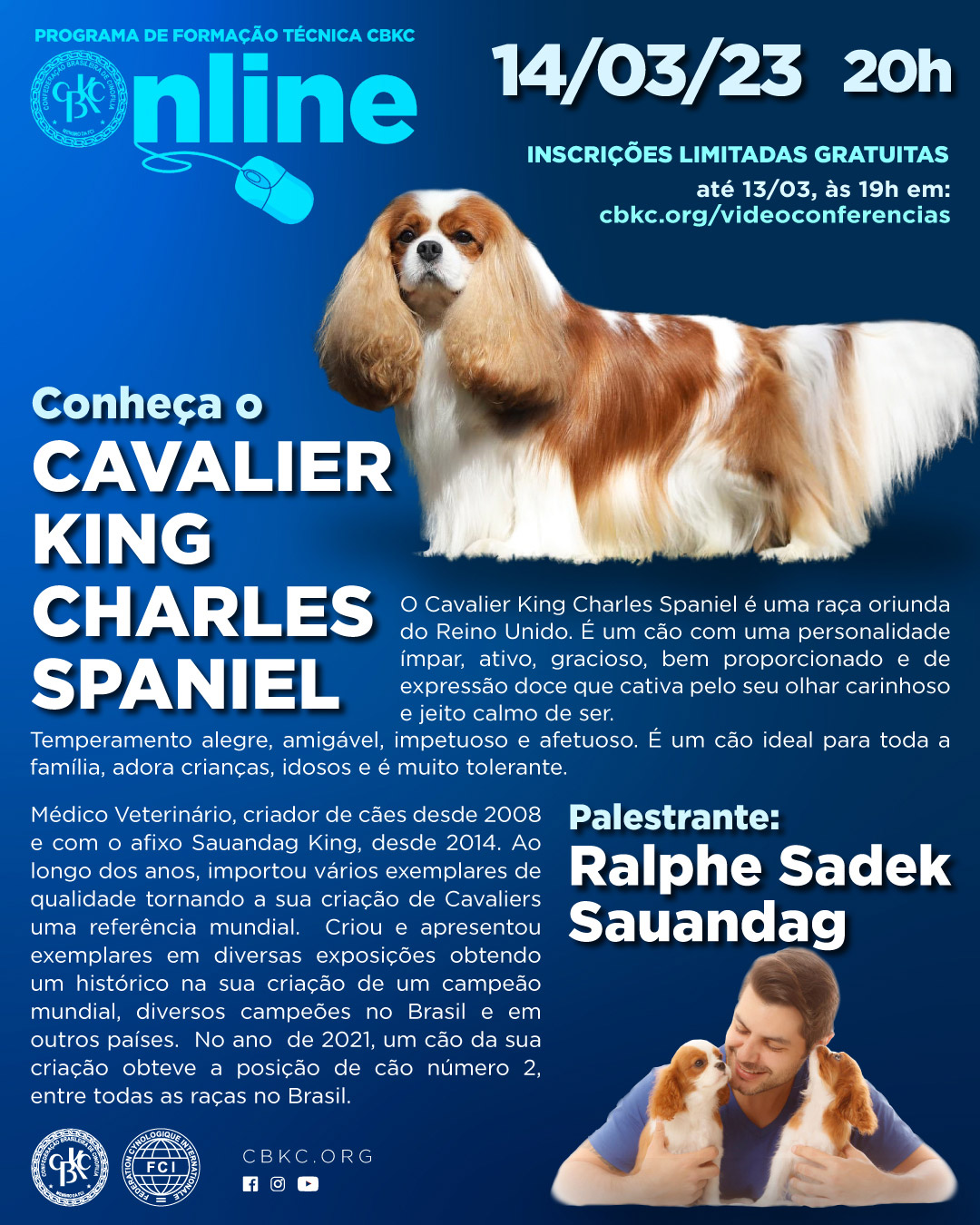 Imagem Videoconferências CBKC: Conheça o Cavalier King Charles Spaniel