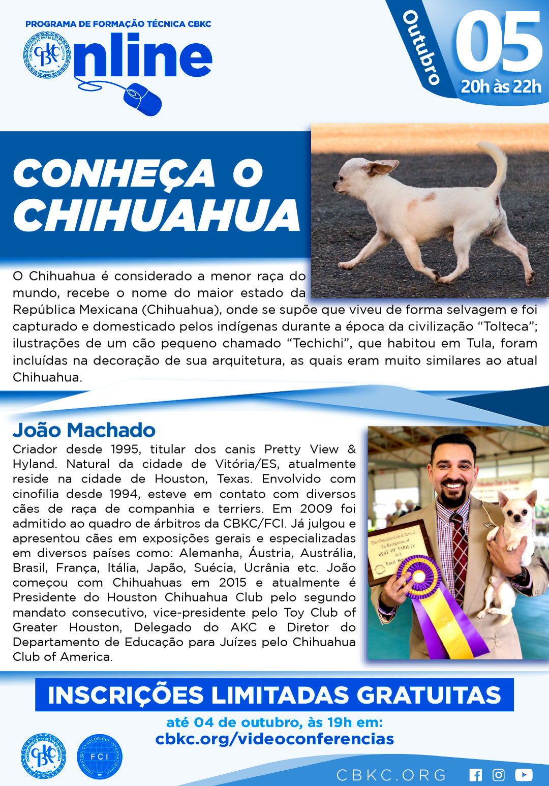 Imagem Videoconferências CBKC: Conheça o Chihuahua