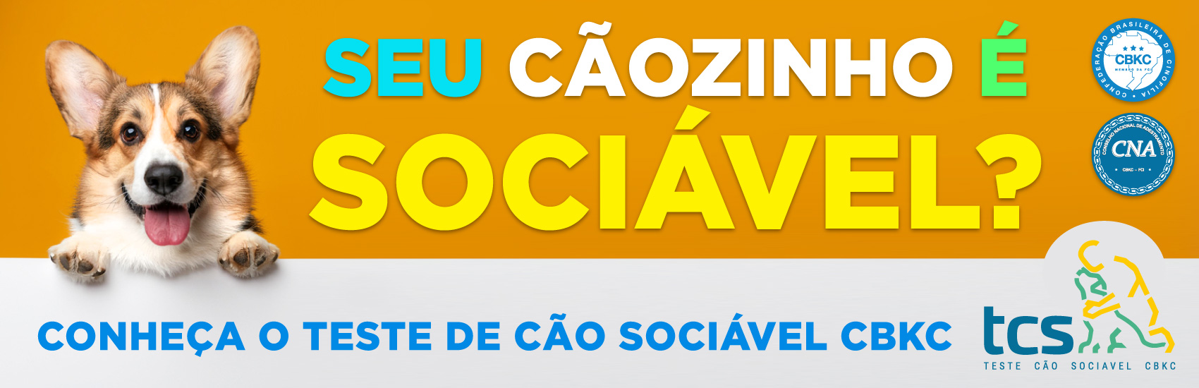 Conheça agora o Teste de Cão Sociável