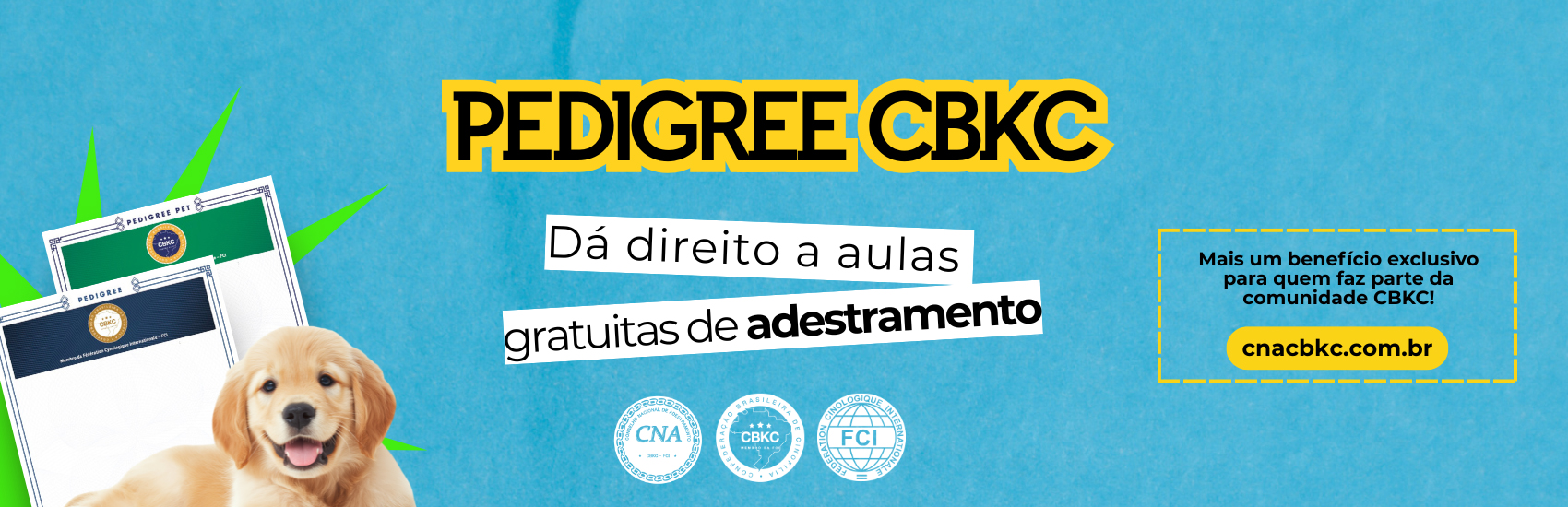 Campanha CBKC e CNA de aulas de adestramento gratuitas