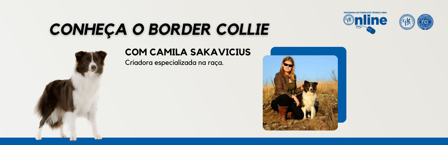 CBKC - Conheça o Border Collie